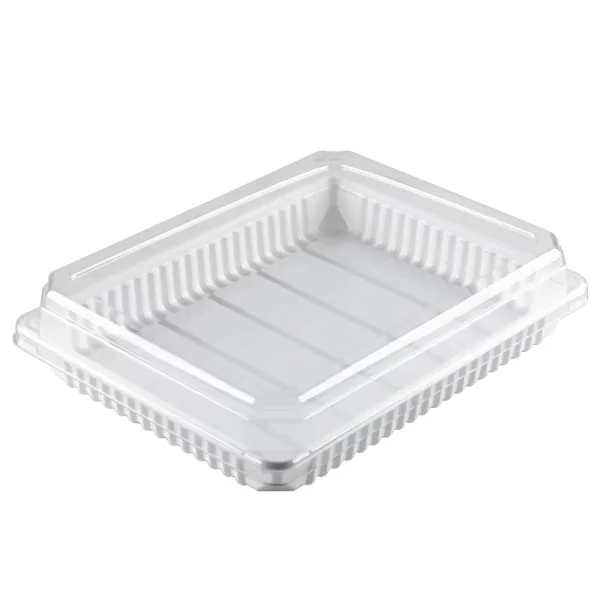 Rectangular Plastic Box Wholesale PET Cake Containers Sushi Boxes (5)