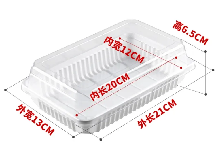 Rectangular Plastic Box Wholesale PET Cake Containers Sushi Boxes (6)