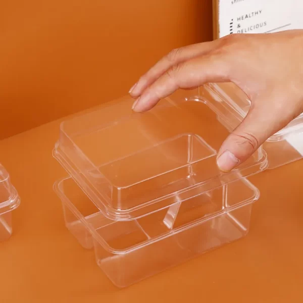 customized-sandwich-packaging-box-with-lid-clear-sandwich-boxes-with-compartments (2)