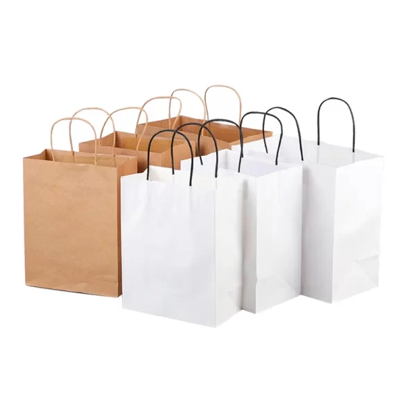 custom-paper-bags-with-logo-in-multiple-colors-wholesale-shopping-bags (1)